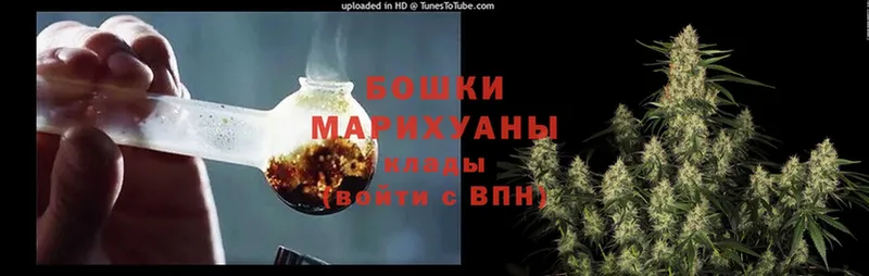 МАРИХУАНА OG Kush  Лодейное Поле 